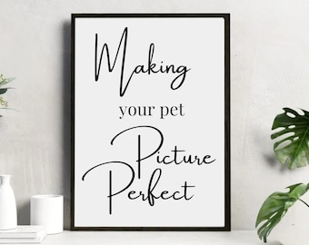 Fotos de peluquería canina, láminas de peluquero canino con cita, arte mural, póster de peluquería canina, decoración de salón canino, imágenes de peluquería canina