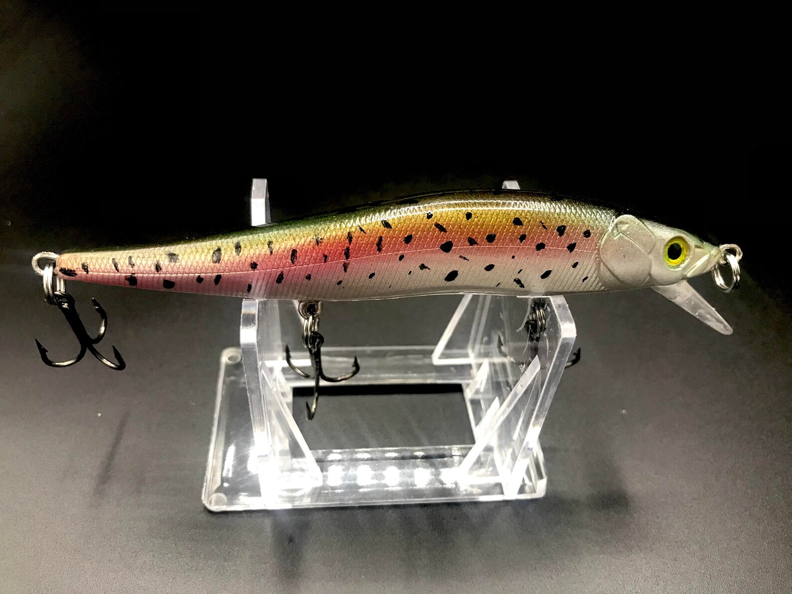 HandPainted Jerkbait Fishing Lure Etsy