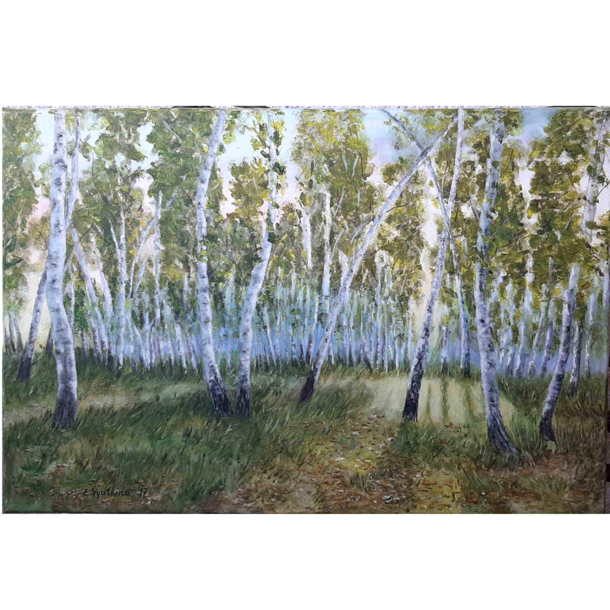 Schipper Peinture avec chiffres Forêt de bouleaux