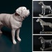 see more listings in the Dogs section