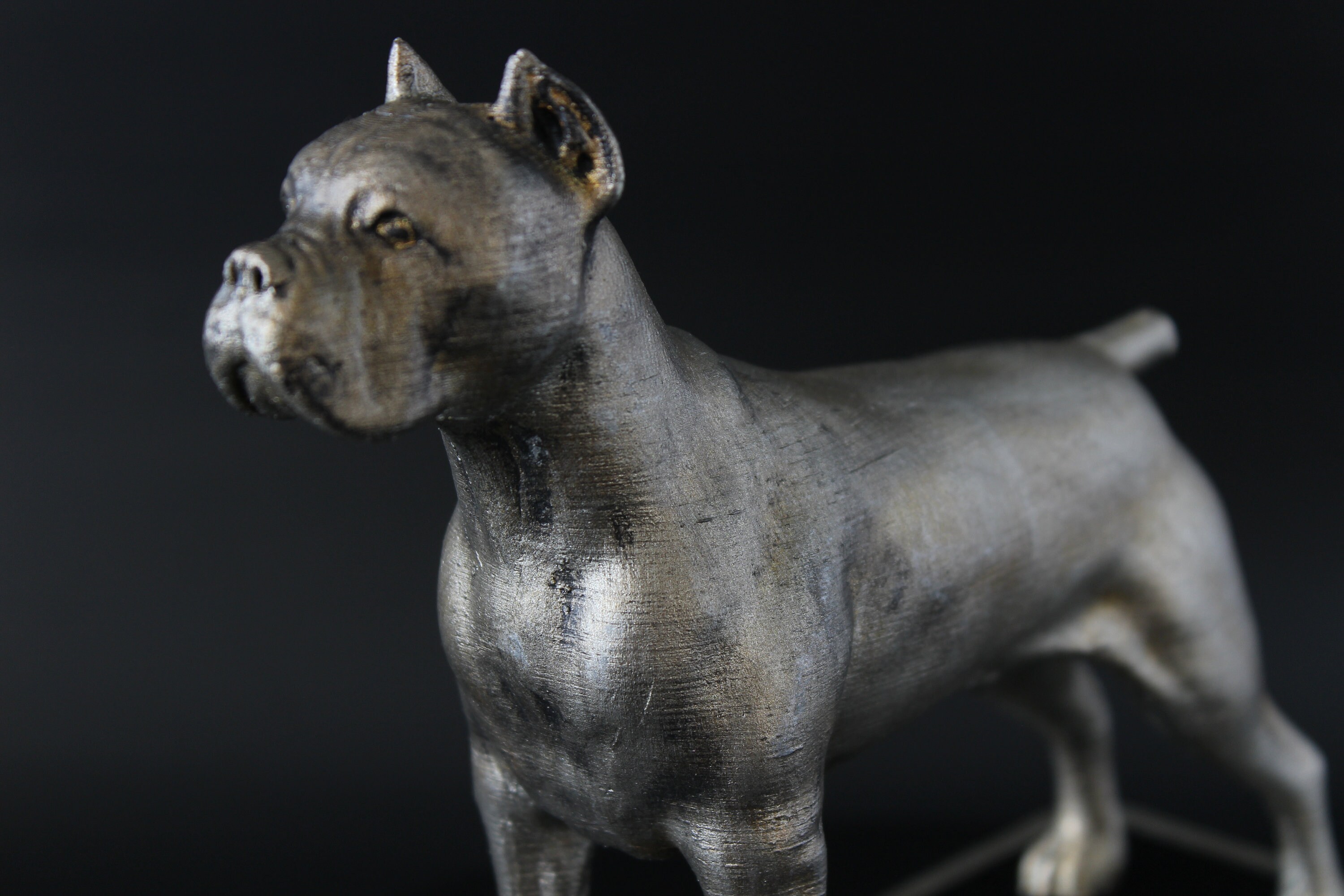 Cane Corso Casting Statue Italian mastiff statue Dog Etsy