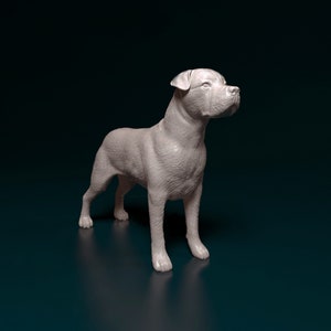 Personalized Cane Corso UnCropped Ears Dog Statue image 3