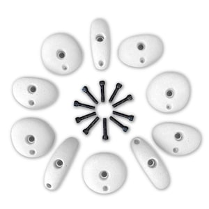 Rock Climbing Holds - Variety Set - Home Wall - EASY - 10X