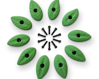 Rock Climbing Holds - Natural Leaf Shapes - Home Wall - EASY - 10X