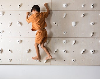 3X Home Climbing Panel Kit - Birch - Indoor Rock Climbing Wall - Easy Installation - System Wall - Kids Wall - Playroom