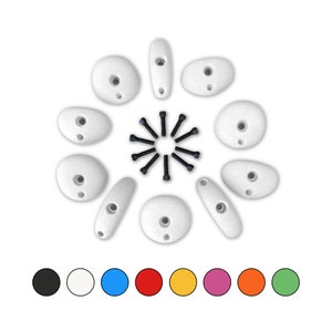 Rock Climbing Holds - Variety Set - Home Wall - EASY - 10X