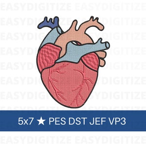 Anatomically Correct Heart Embroidery design file 5x7 PES DST JEF VP3, trendy design