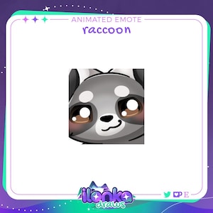 Raccoon smirk | Animated Twitch/Discord emote