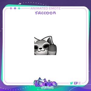 Mapache VIBE / Emote animado de Twitch/Discord