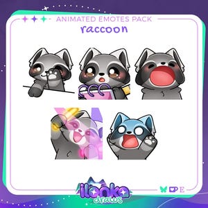 Raccoon | Animated Twitch/Discord emotes pack 3 (set of 5)