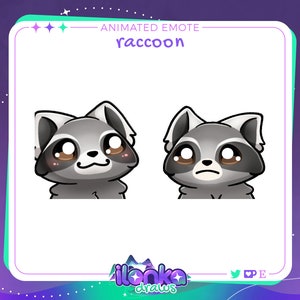 NODDERS & NOPERS raccoon | Animated Twitch/Discord emote