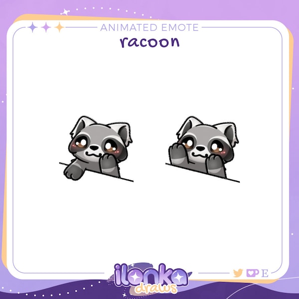Bongo raccoon | Animated emote