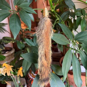 squirrel tail keychain