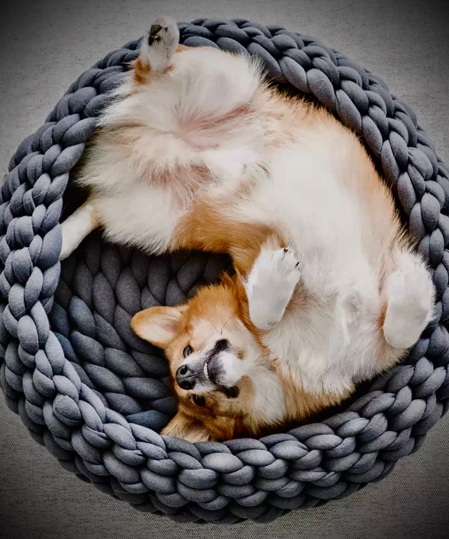 Panier Chien ou Chat Tricoté . Gris Anthracite. Best-Seller