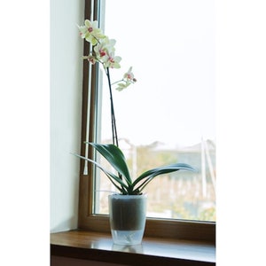 Orchidea Twin Self-watering pots – decorative wick planter with great ventilation, drainage and water level indicator