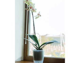 Orchidea Twin Self-watering pots – decorative wick planter with great ventilation, drainage and water level indicator