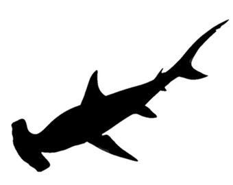 Free Free 111 Hammerhead Shark Svg SVG PNG EPS DXF File