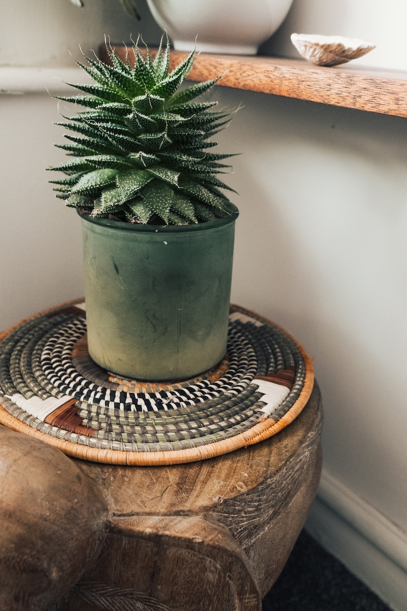 May include: A green potted succulent plant with spiky leaves sits on a woven round mat with black and white stripes. The mat is on top of a wooden stool.
