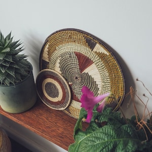 May include: Two woven wall baskets with a natural brown, green, and white pattern. The larger basket is hanging on a wall, and the smaller basket is sitting on a wooden shelf. A green plant with a pink flower is in the foreground.