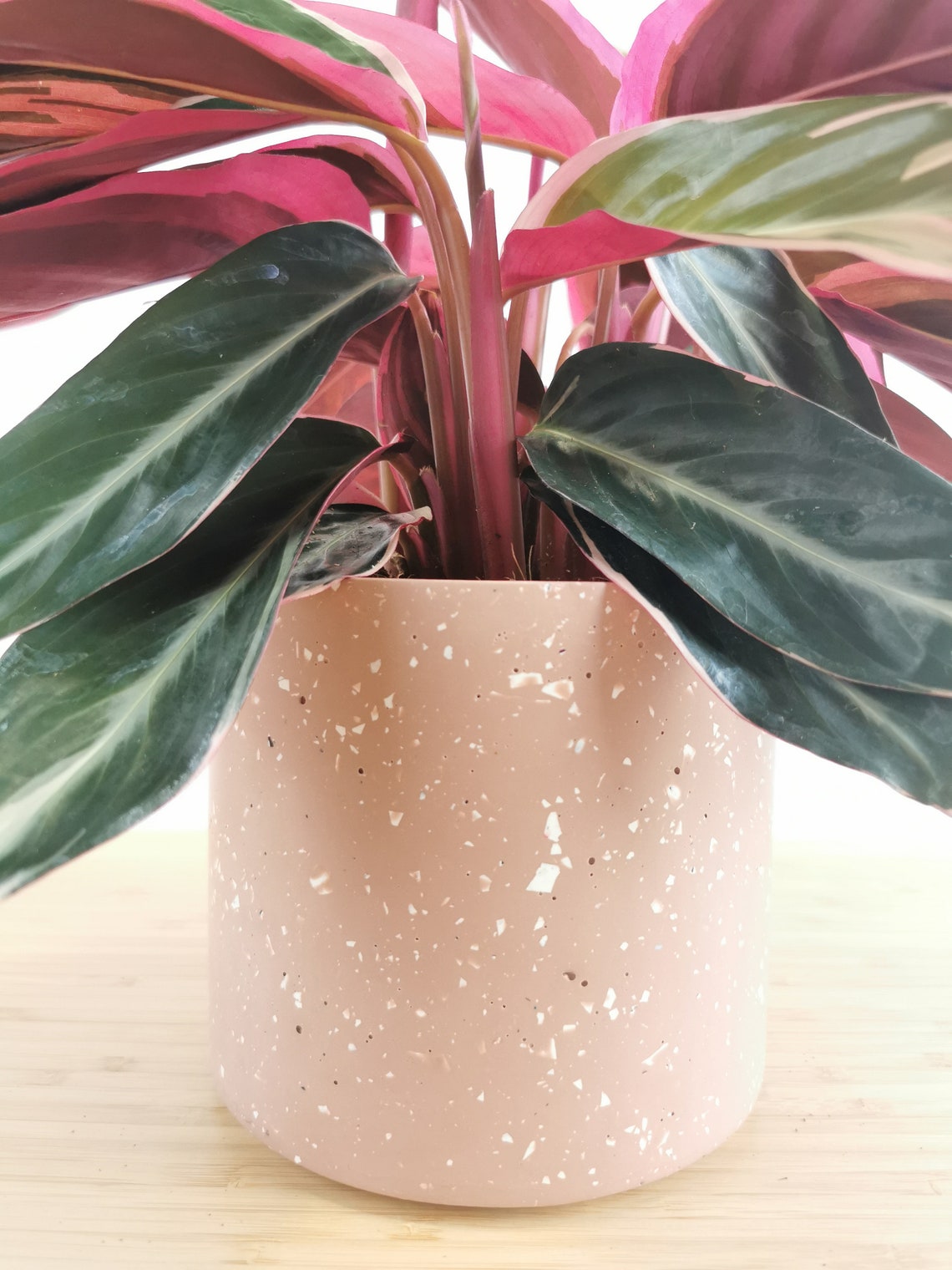 Large Pink Plant Pots