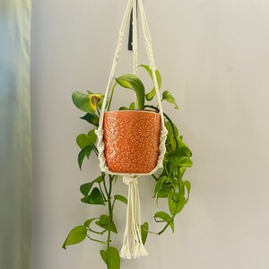 May include: A white macrame plant hanger with a terracotta pot and a green plant hanging from it.