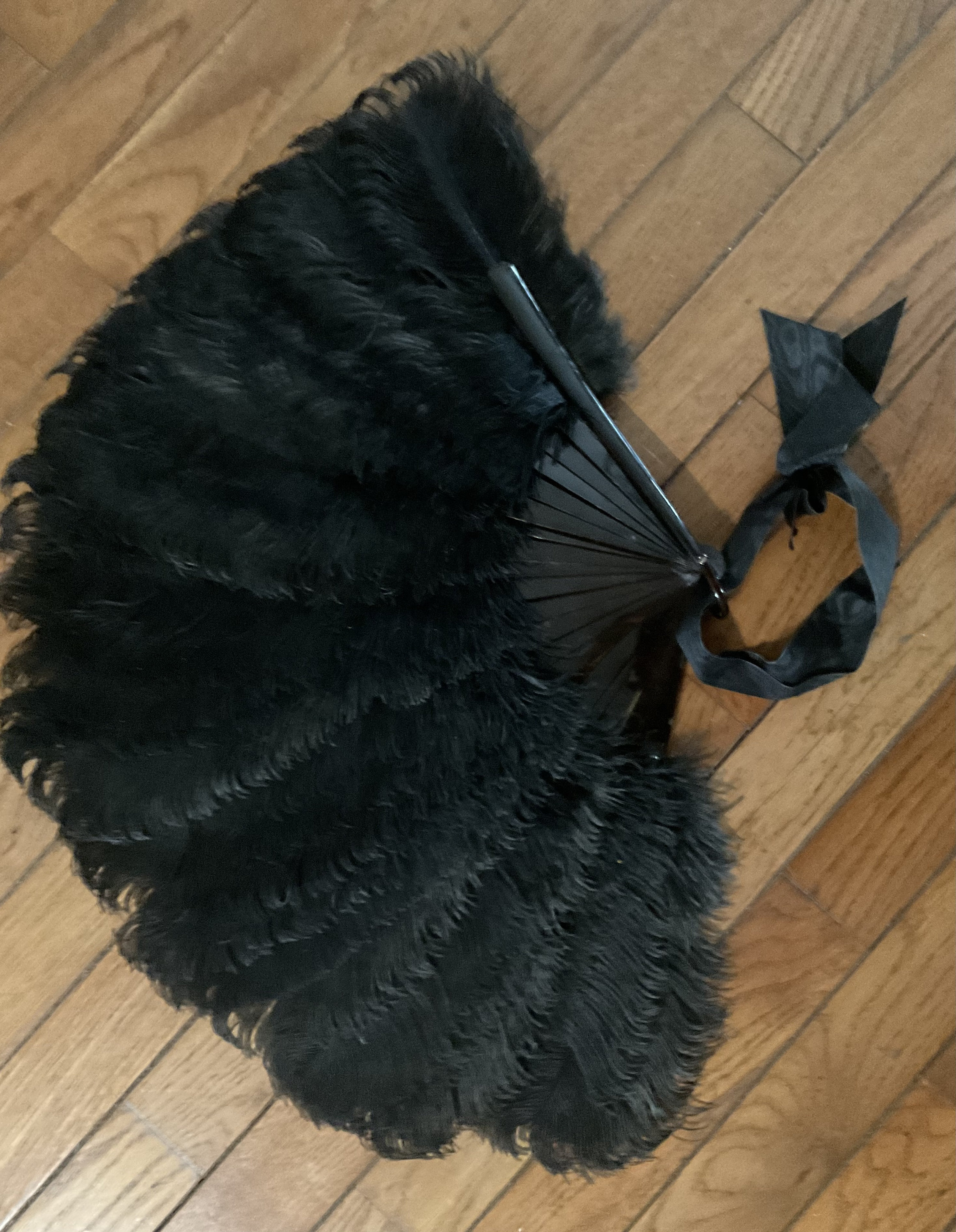 Black Ostrich Feathers Etsy Canada