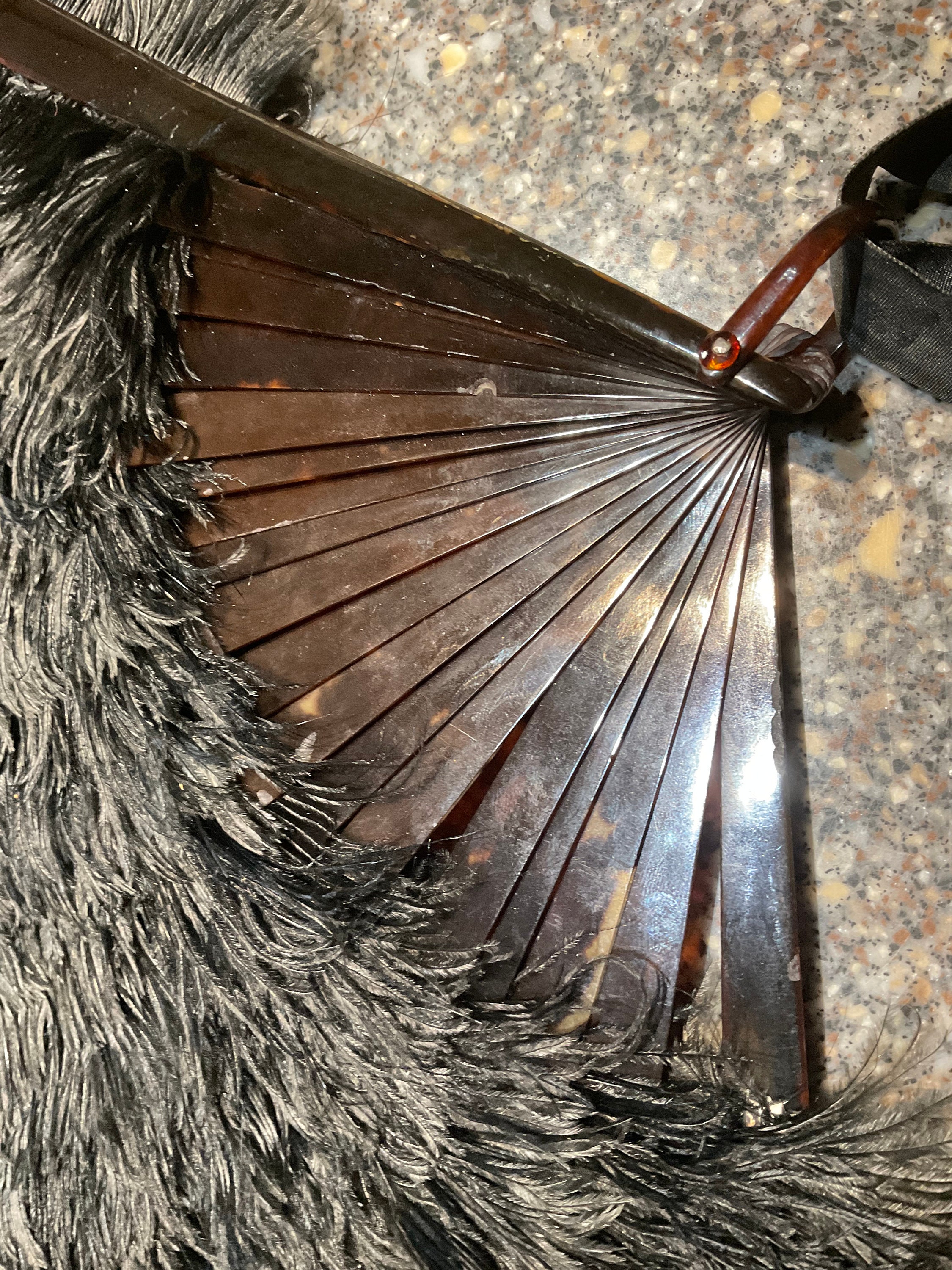Large Victorian Black Ostrich Fan, Tortoise Shell Bands. 1900s, 20 by ...