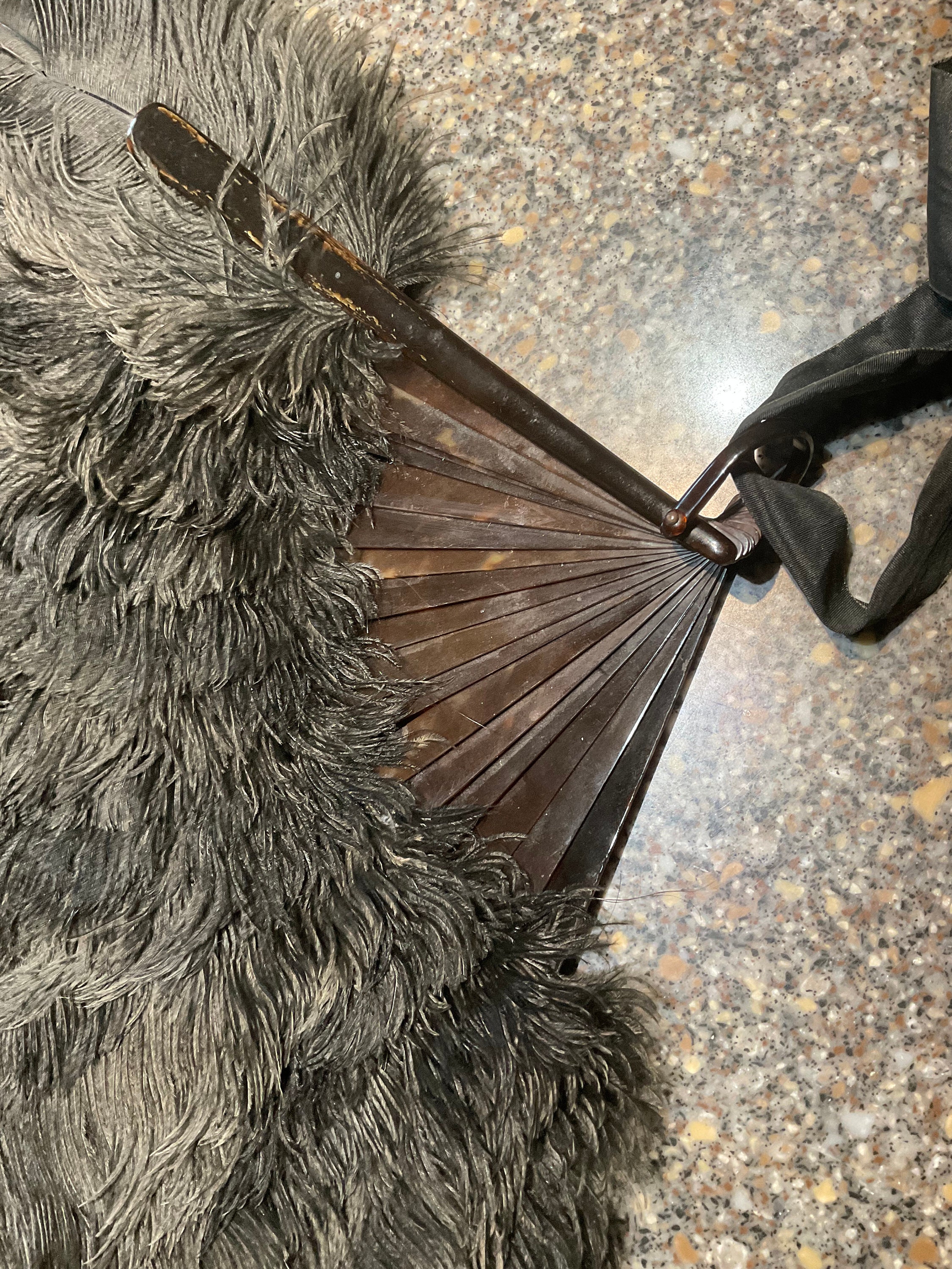 Large Victorian Black Ostrich Fan, Tortoise Shell Bands. 1900s, 20 by ...