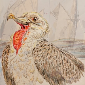 Frigate Bird Fine Art Bird Print montado o sin montar, de la ilustración original, impreso a mano
