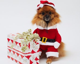 3D Santa Father Christmas Holiday Costume for dog or cat