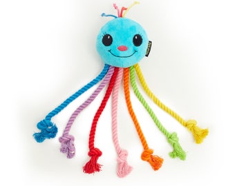 rainbow dog toy