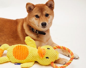 Dual Tug Duck Dog Toy-with waffle and rope-great for dogs or a puppy