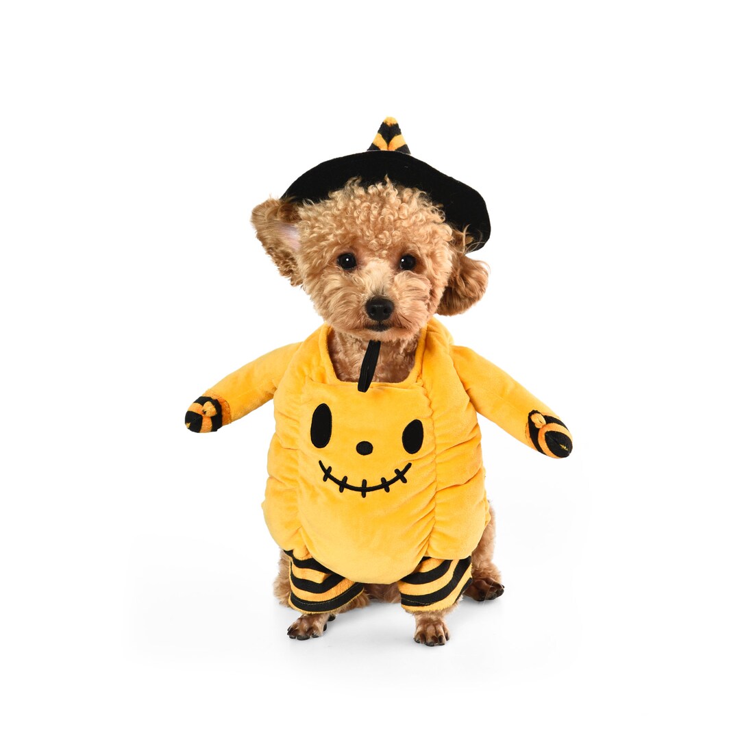 Pumpkin 3D Dog or Cat Halloween Costumebodysuit With Matching Etsy