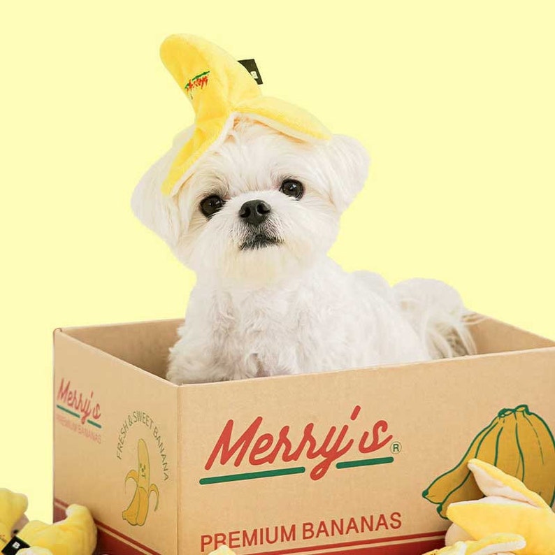 Nosework Banana Dog Toy image 3
