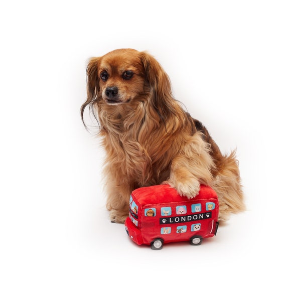 Can I Take My Dog On A London Bus
