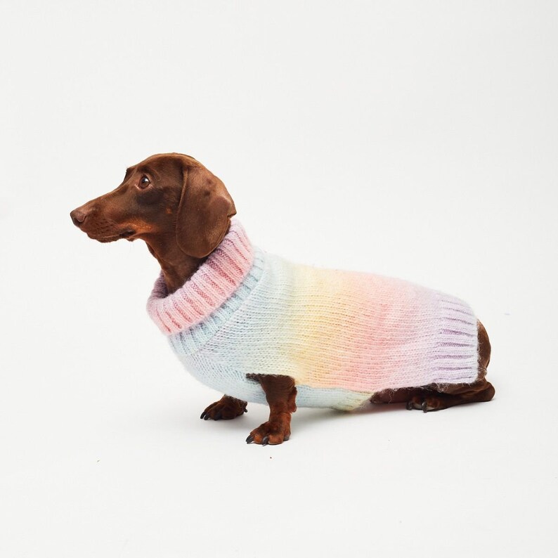 Pastel Rainbow Ombre Dog Sweater-unique Jumper for Dogs - Etsy