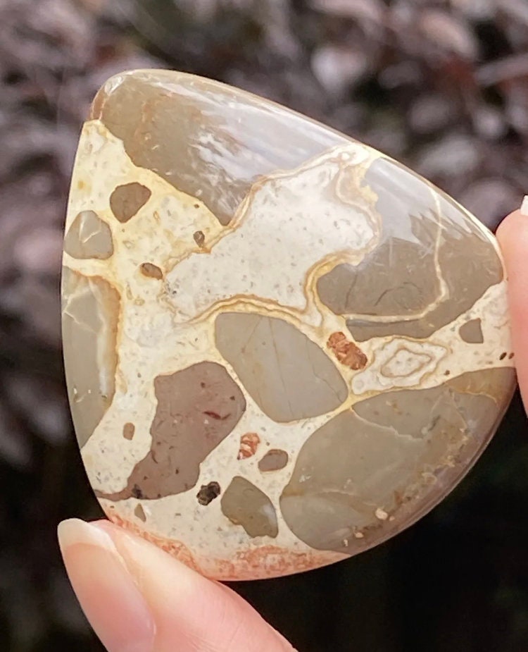 Leopard Skin Jasper Cabochon 20g 1172 AAA+