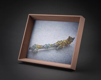 Frame walnut 24 x 30 cm with motif