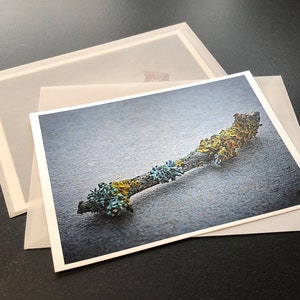 Karte 13x18 mit Couvert Transparent