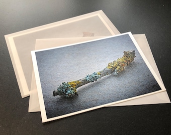 Map 13x18 with Couvert Transparent