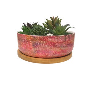 May include: A pink and purple ceramic planter with a wooden base, filled with a variety of green succulents.