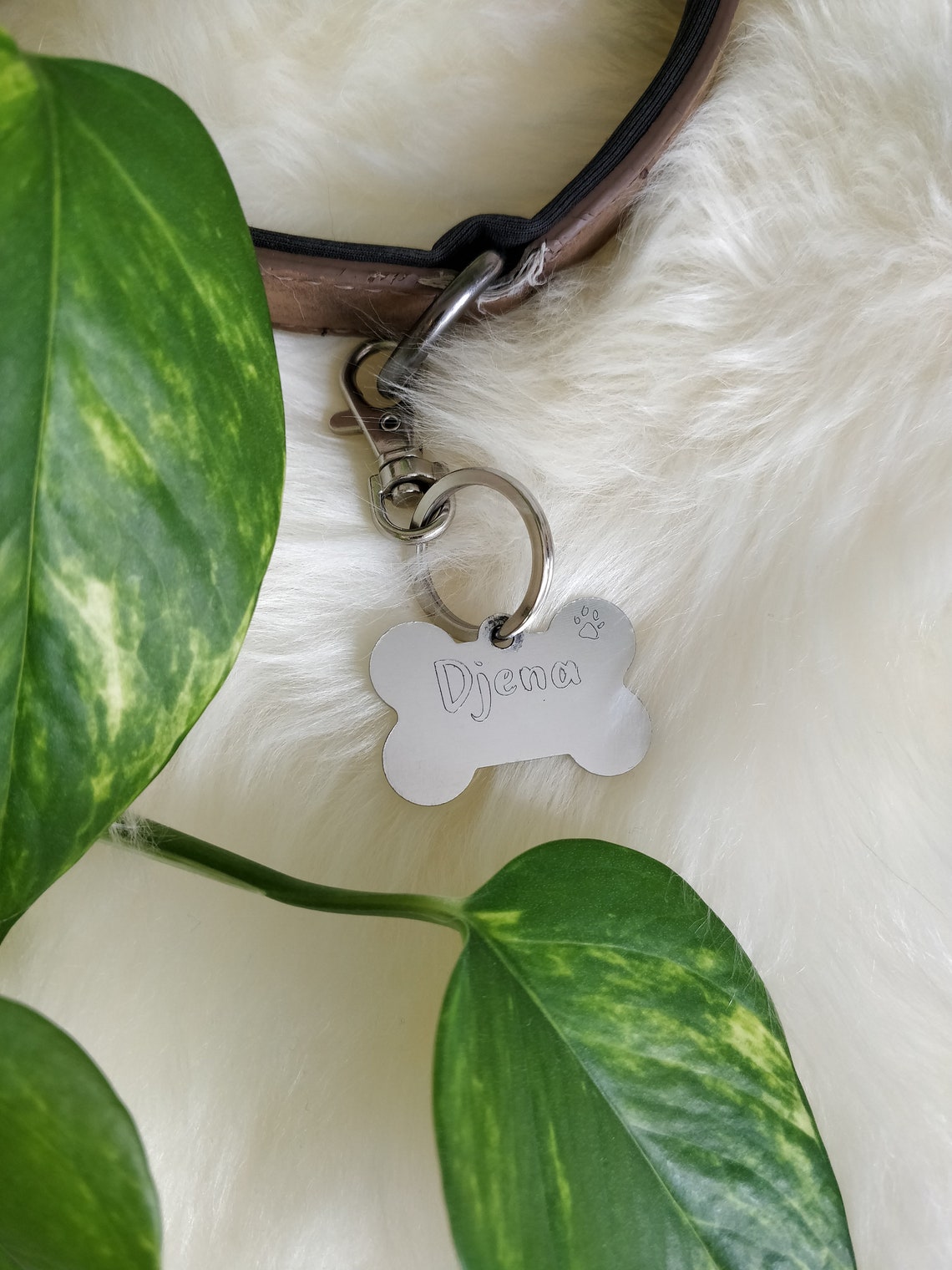 DOGTAG Engraved Dog Name Tag ID Tag Penny Dog Bone Etsy UK