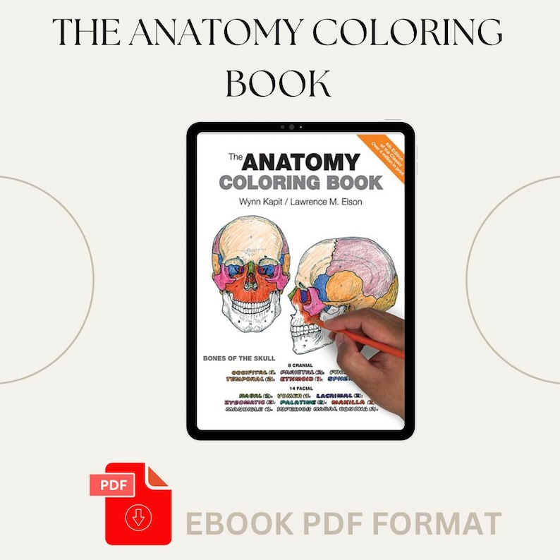 The Anatomy Coloring Book 4th Edition - Etsy