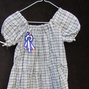 Toddler Girls Dress Size 3 Civil War Victorian Reenactors C21