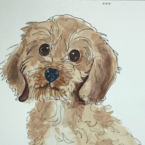 Könnte beinhalten: Ein Aquarellbild eines braunen und weißen Welpen mit großen braunen Augen. Der Welpe schaut direkt auf den Betrachter.