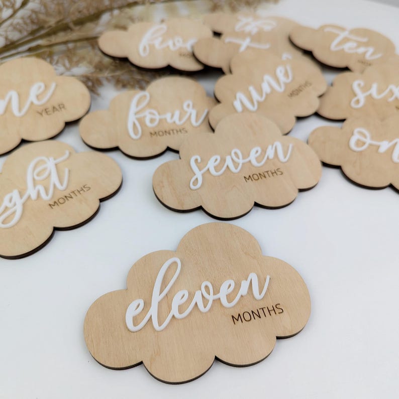 Set of 12 Cute Milestone Cards Monthly Baby Growth Disks Boy Girl ...