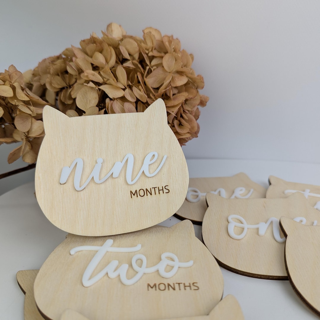 Set of 12 Cute Kittens Milestone Cards Monthly Baby Growth Disks Wooden ...
