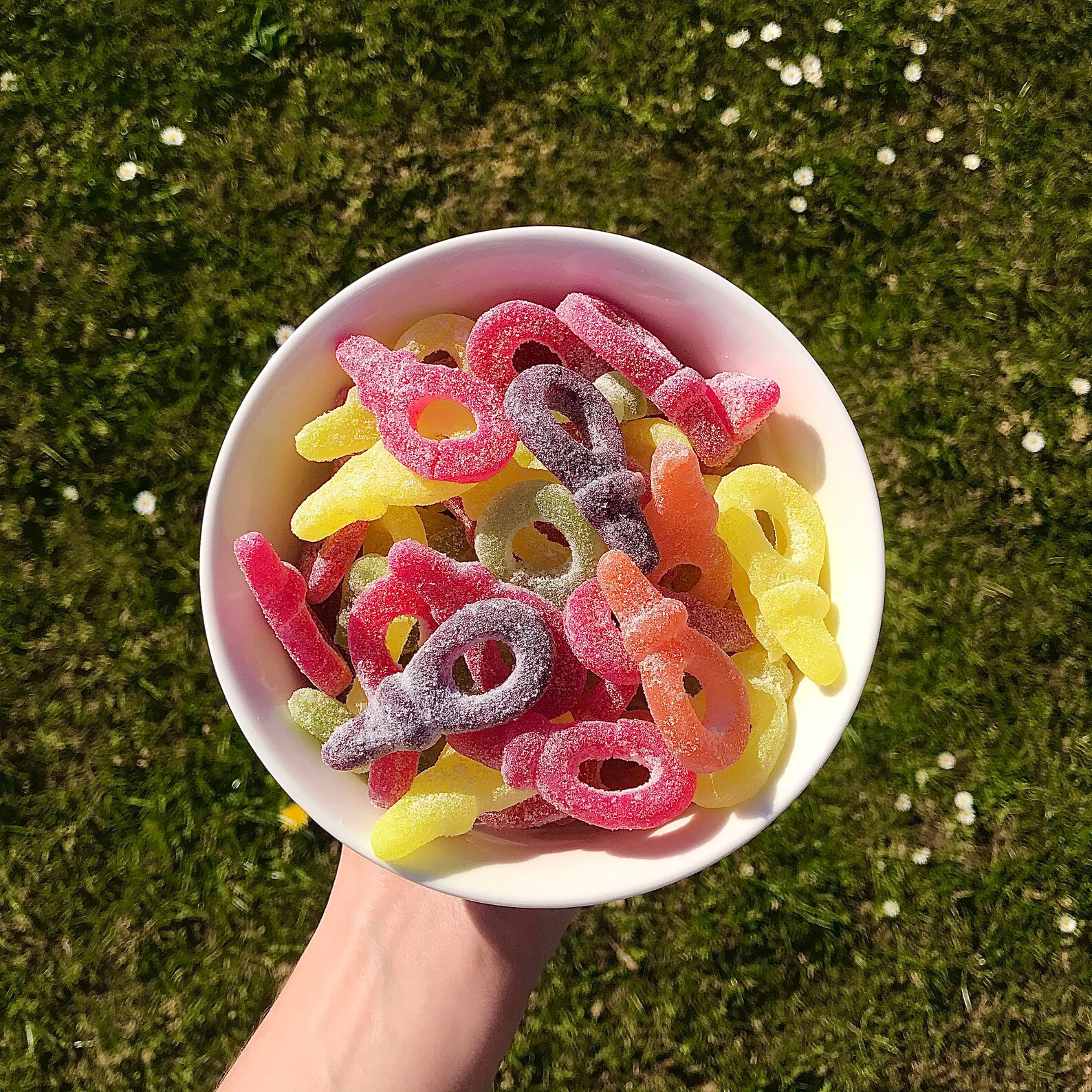 Fizzy Dummies Sweets 100g 200g 300g 400g 500g Perfect Etsy