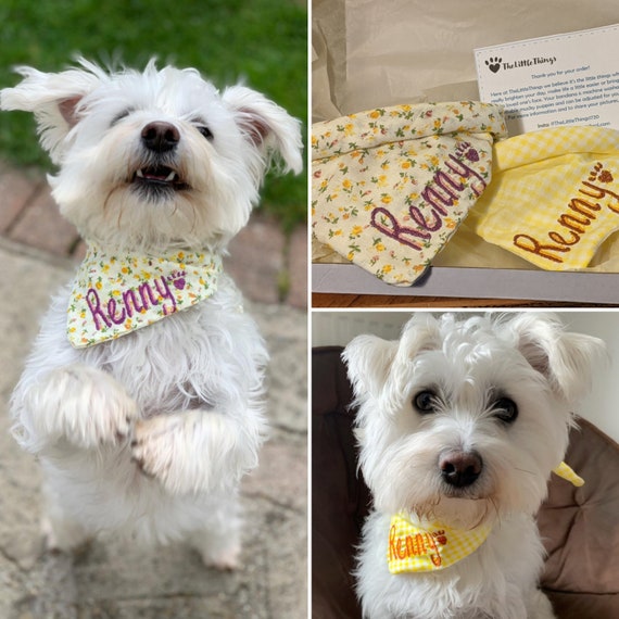 personalised dog scarf