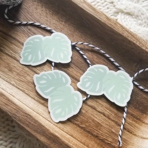 Monstera Leaf Sticker | Waterproof Decal for Laptop, Water Bottle & Scrapbooking | Tropical Plant Decor | Green Leaf Vinyl Sticker